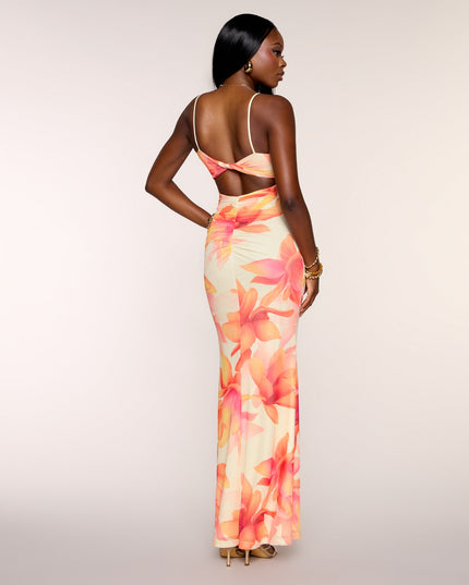 Late Bloom Energy Floral Mesh Maxi Dress